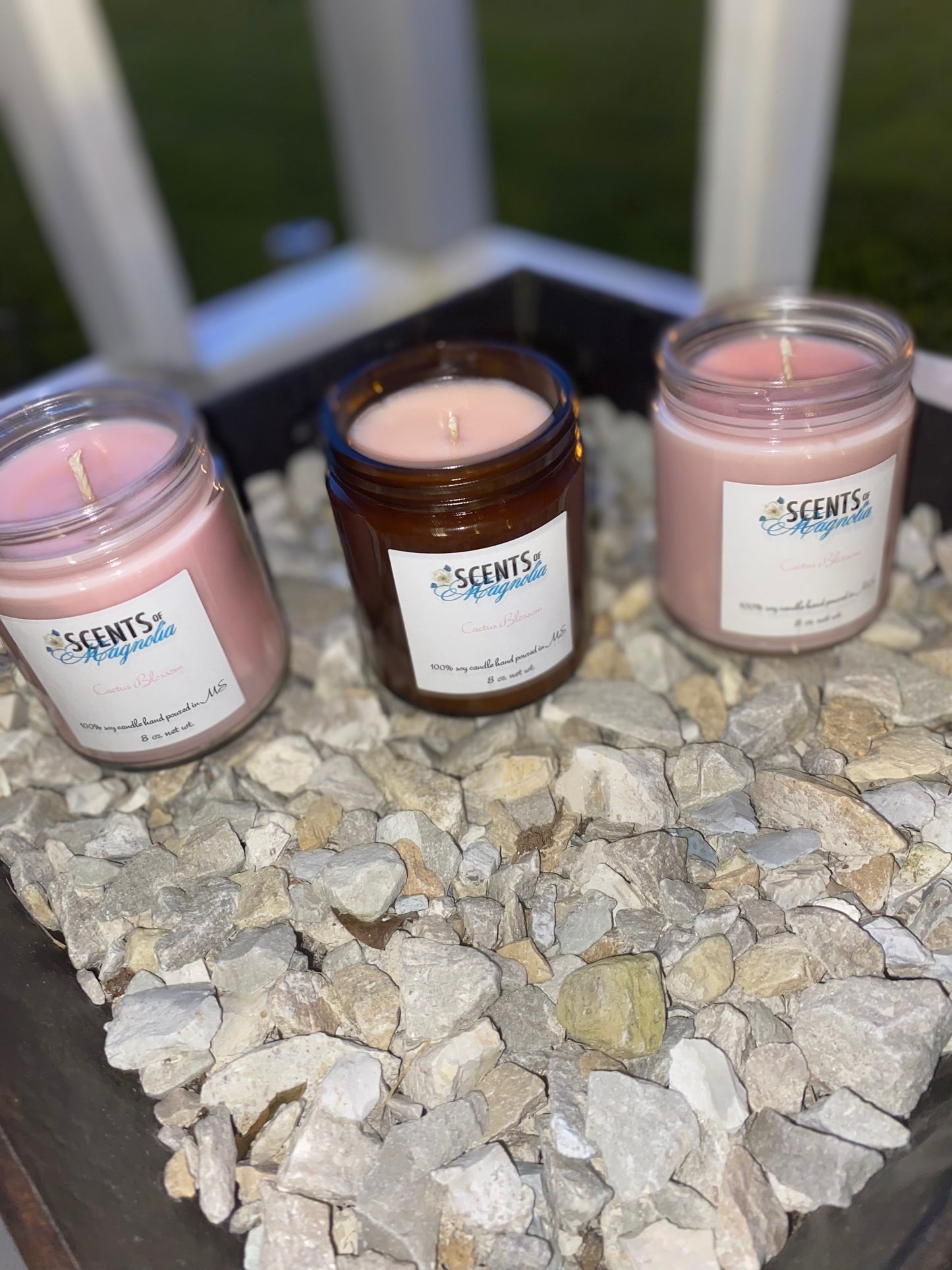 Cactus Petals Candle